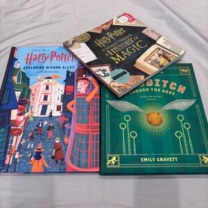 Quidditch Exploring Diagon Alley Histoy Of Magic Lot 3 Harry Potter Themed Books